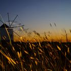 Windmühle im Sonnenuntergang