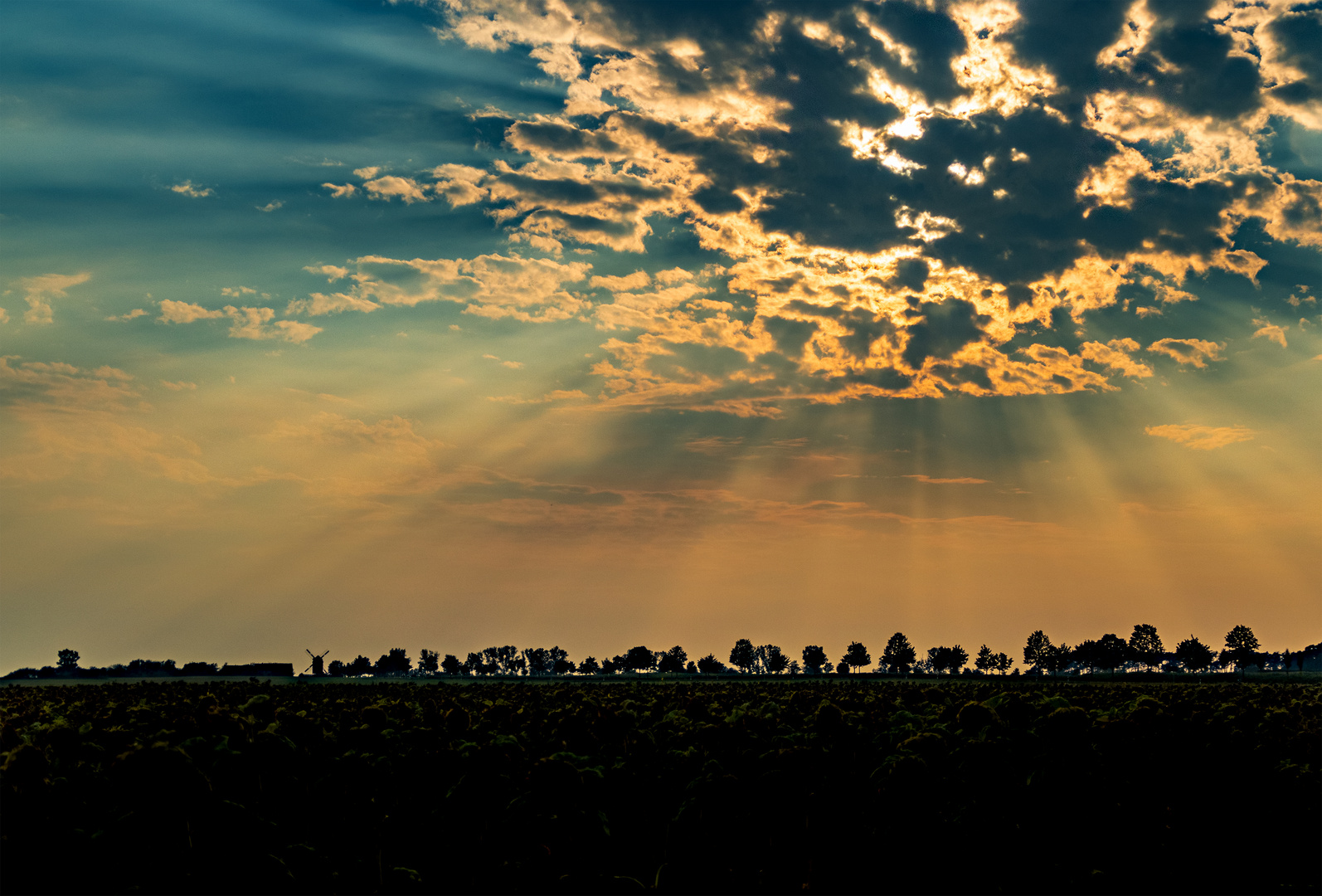 Windmühle im Sonnenuntergang