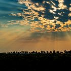 Windmühle im Sonnenuntergang