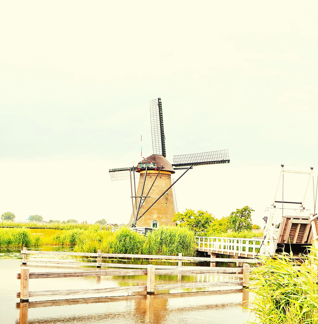 Windmühle im Weltkulturerbe Kinderdijk/NL