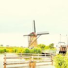 Windmühle im Weltkulturerbe Kinderdijk/NL