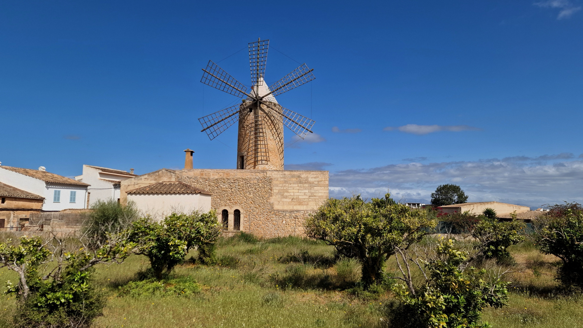 Windmühle in Algaida