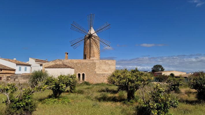 Windmühle in Algaida