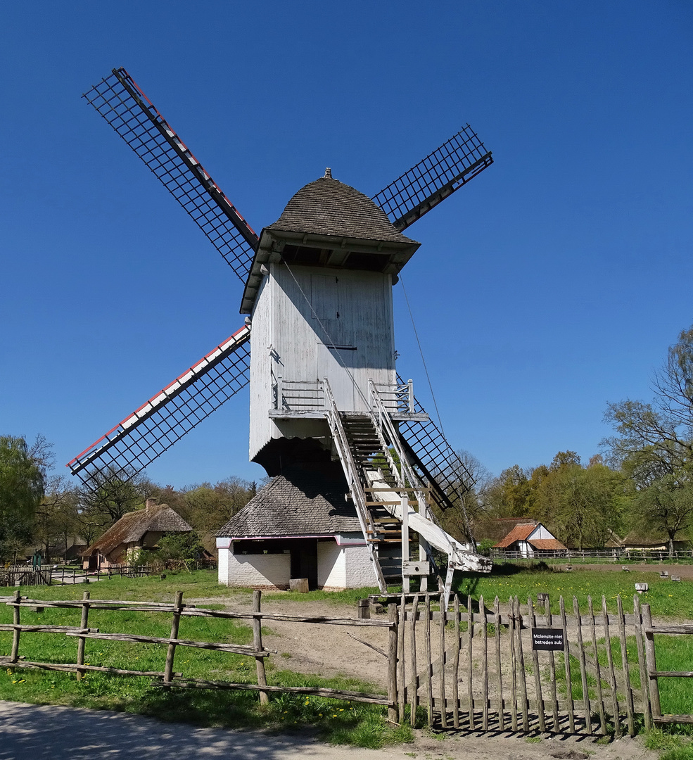 Windmühle in Bokrijk