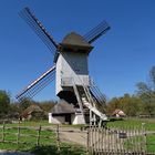 Windmühle in Bokrijk