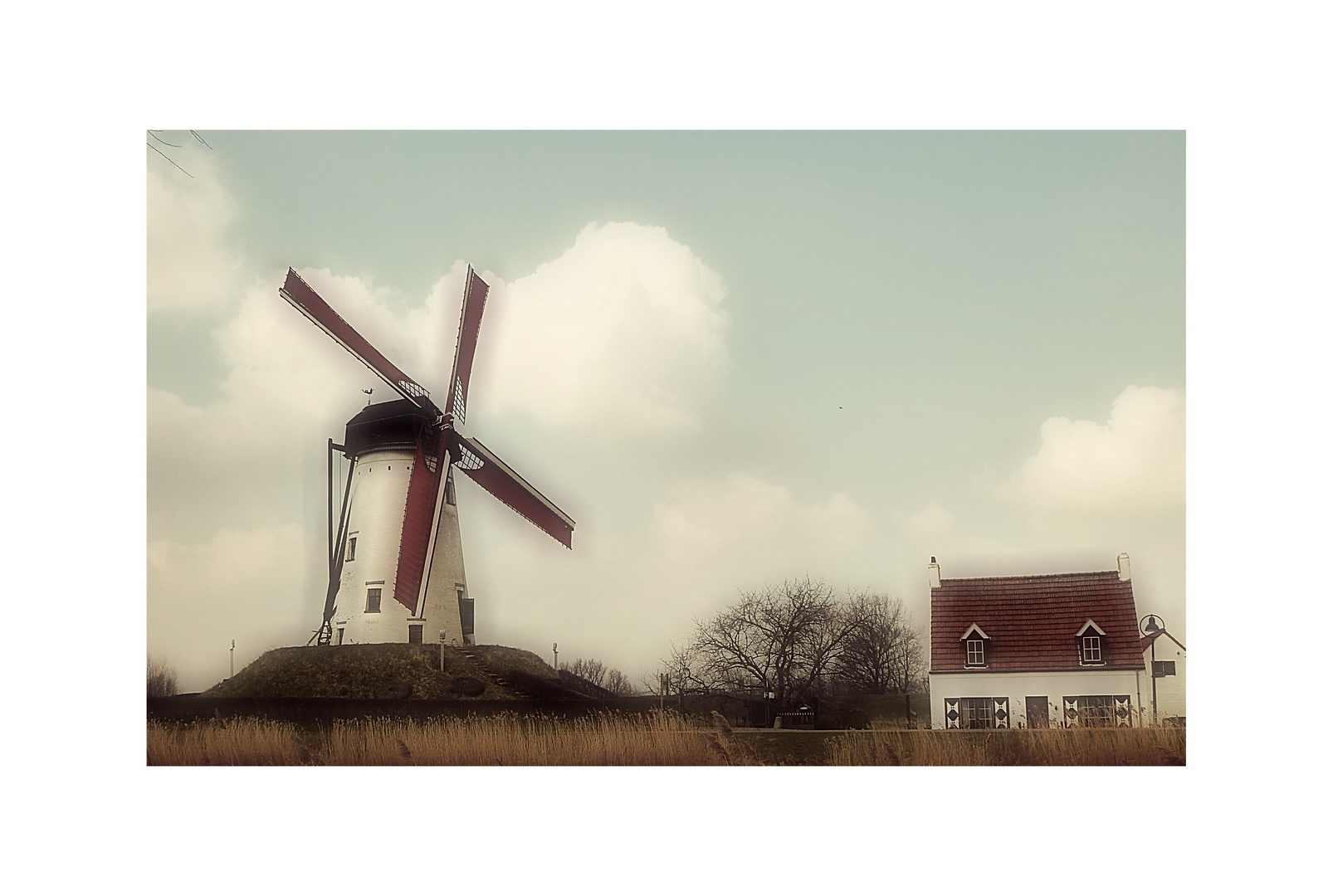 Windmühle in Damme