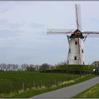 Windmühle in Damme