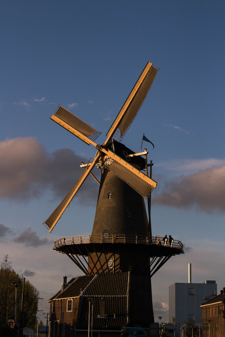 Windmühle in Delft
