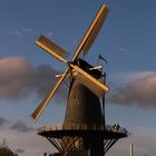 Windmühle in Delft