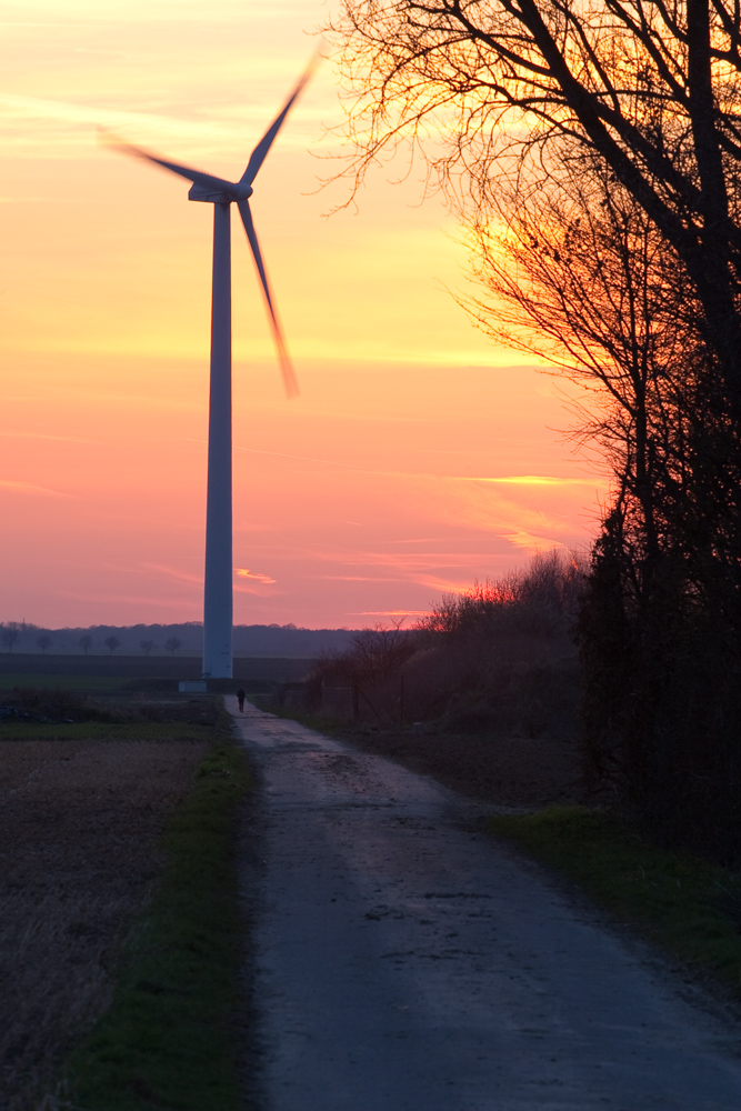 Windmühle in der Abenddämmerung