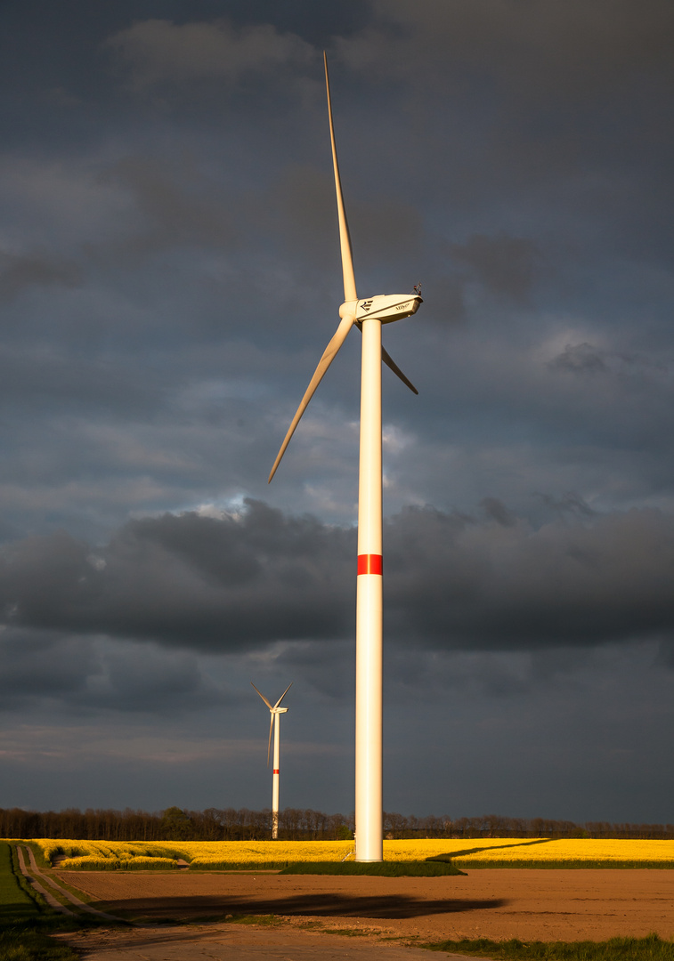 Windmühle in der Abendsonne