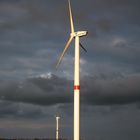 Windmühle in der Abendsonne