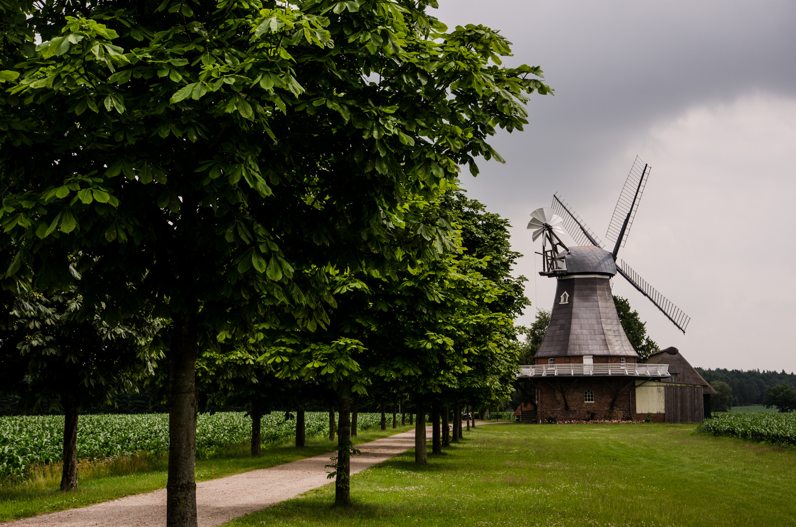 Windmühle in der Nähe von Hamburg