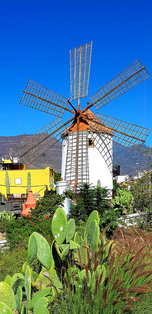 Windmühle in El Molino de Viento von Mogàn/GC