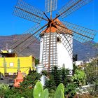 Windmühle in El Molino de Viento von Mogàn/GC