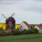 Windmühle in Erdeborn