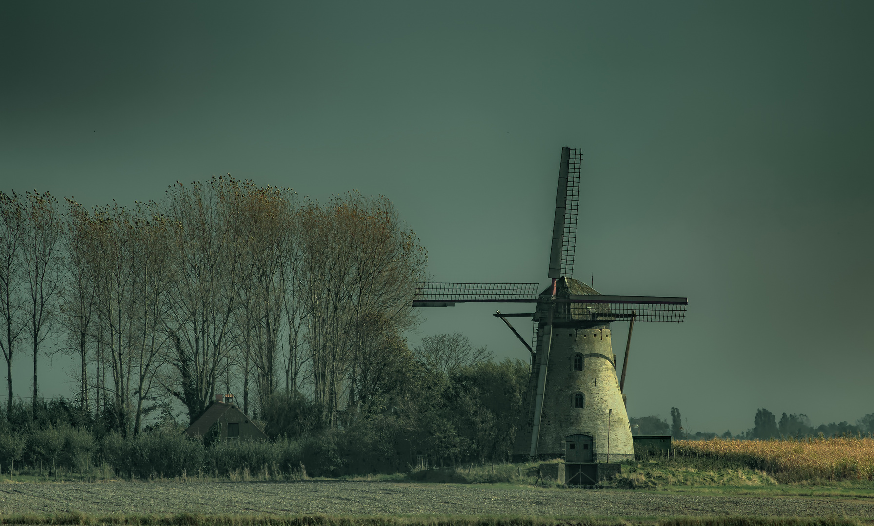 Windmühle in Flandern