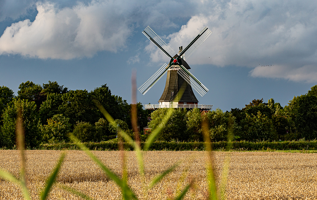 Windmühle in Greetsiel