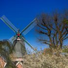 Windmühle in Greetsiel