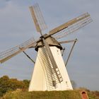 Windmühle in Großenheerse