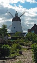 Windmühle in Gudhjem (1)