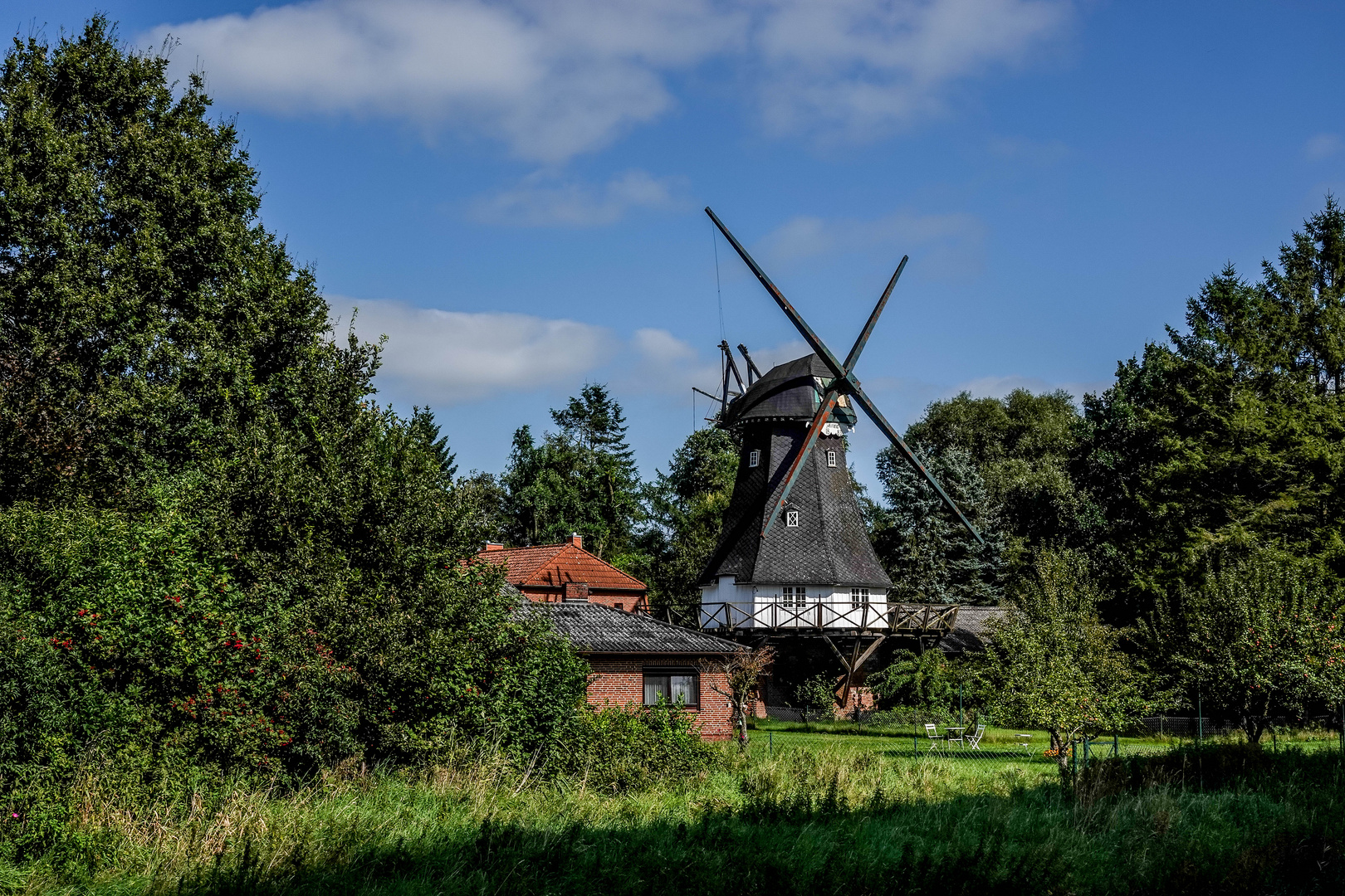 Windmühle in Hochdonn / Dithmarschen