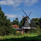 Windmühle in Hochdonn / Dithmarschen