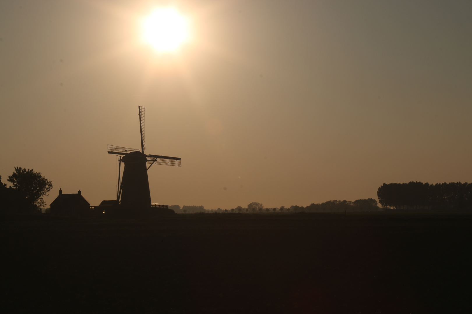 Windmühle in Holland