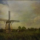 ~~Windmühle in Kinderdijk~~
