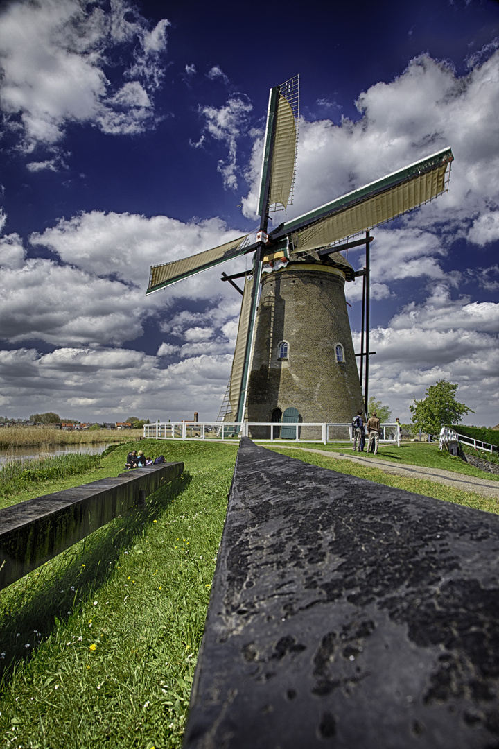 Windmühle in Kinderdijk