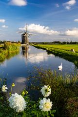 Windmühle in Leidschendam