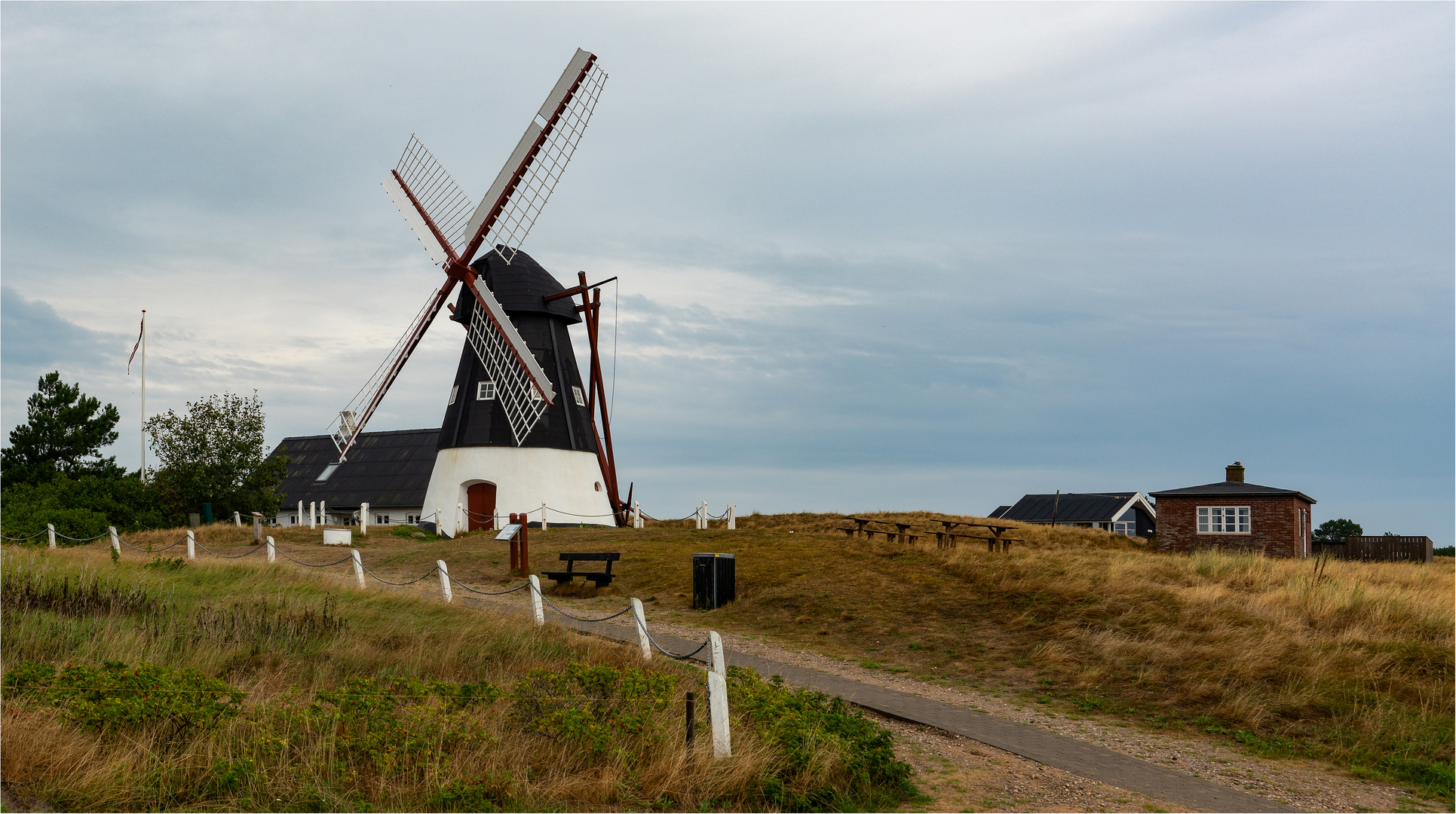 Windmühle in Mandø By