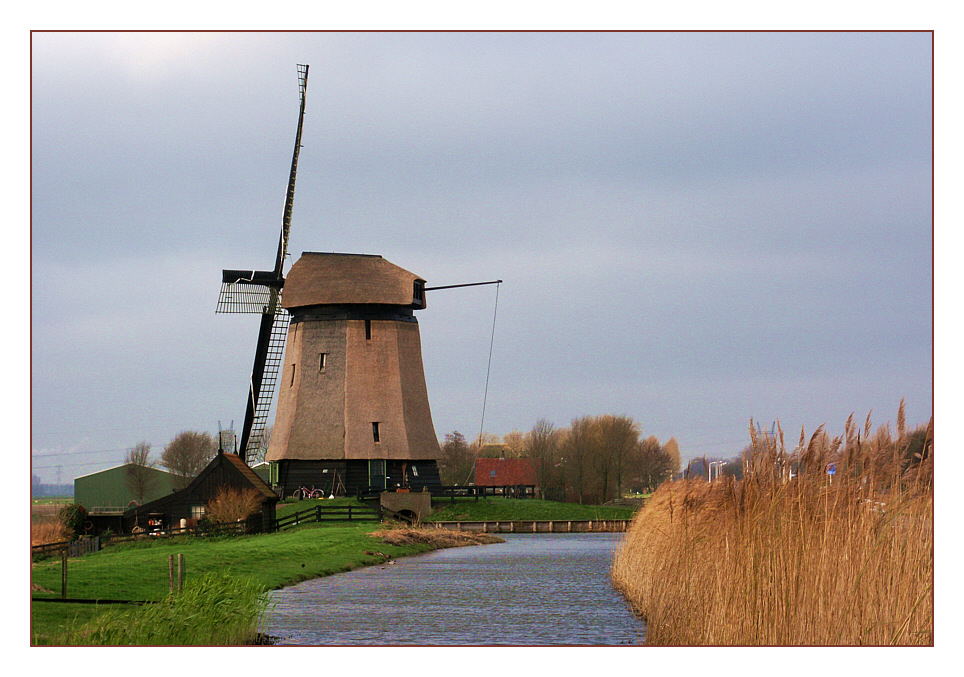 Windmühle in Noord Holland