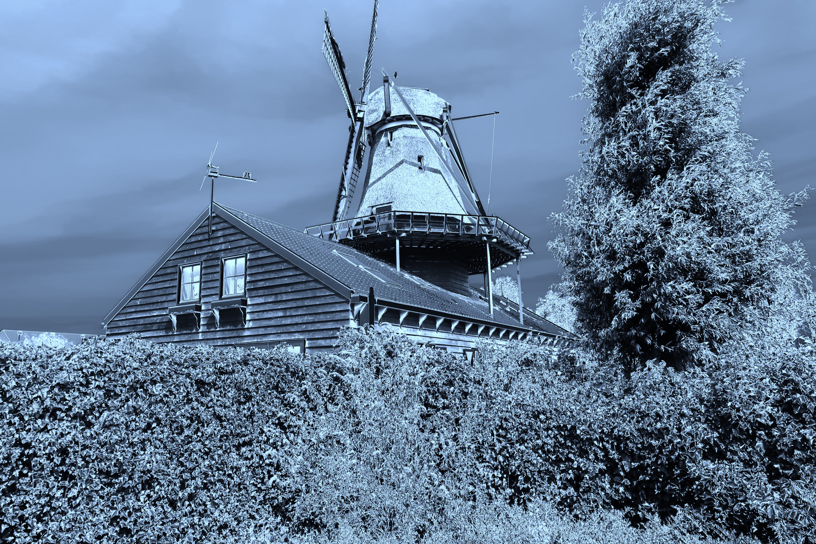 Windmühle in Nordholland