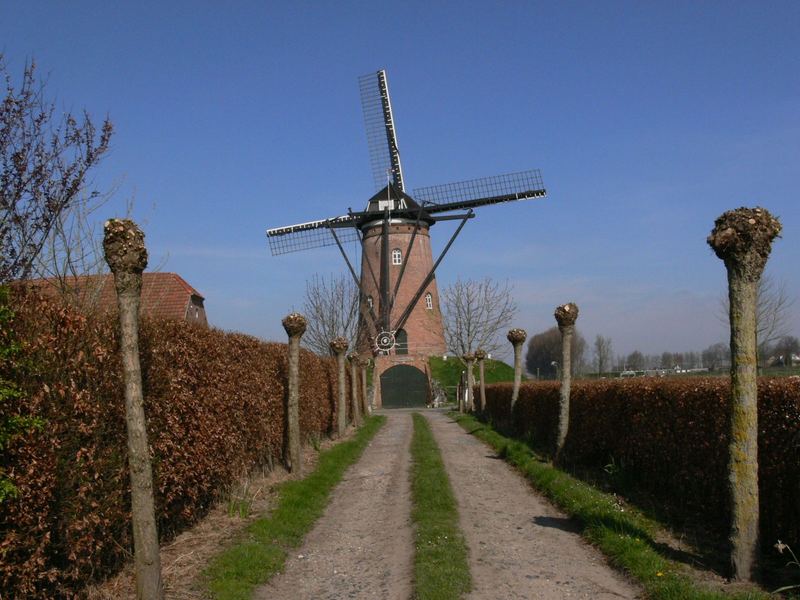 Windmühle in Oostburg