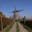 Windmühle in Oostburg