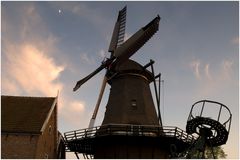 Windmühle in Oudeschild auf Texel