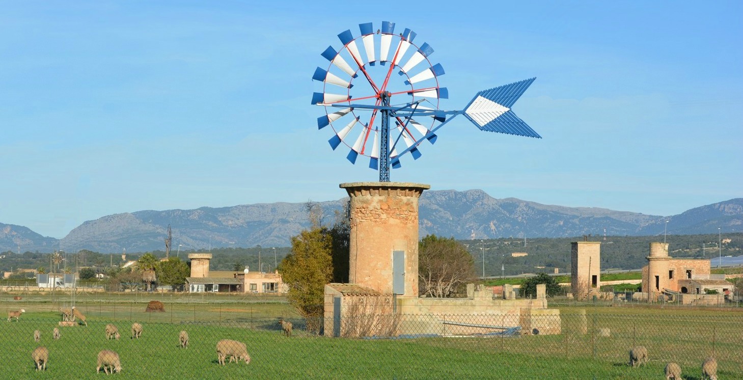 Windmühle in Palma de Mallorca