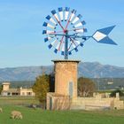 Windmühle in Palma de Mallorca