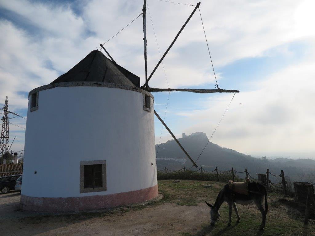 Windmühle in Portugal 