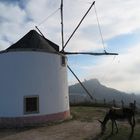 Windmühle in Portugal 