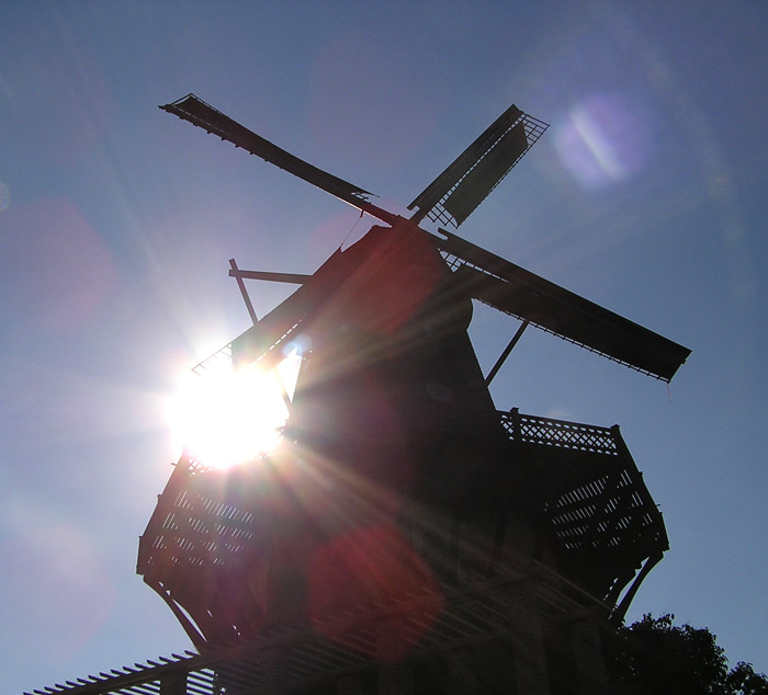 Windmühle in Potsdam