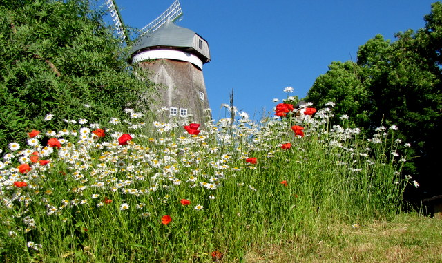 Windmühle in Röbel /Müritz