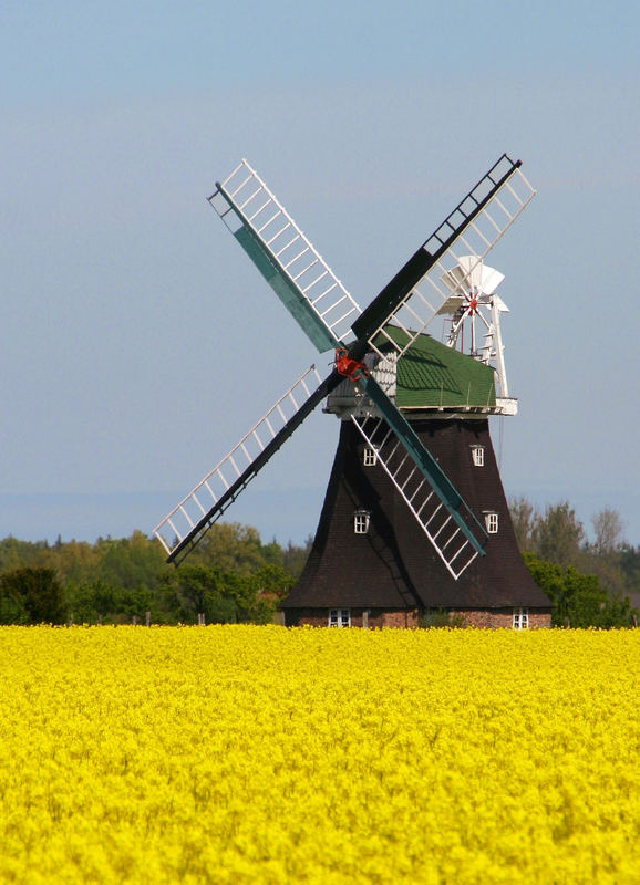 Windmühle in Rövershagen/MVP