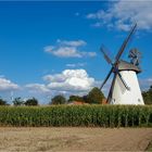Windmühle in Südhemmen.
