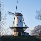 Windmühle in Veere 