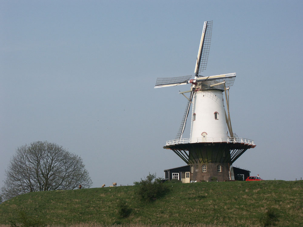 Windmühle in Veere auf Walcheren