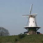 Windmühle in Veere auf Walcheren