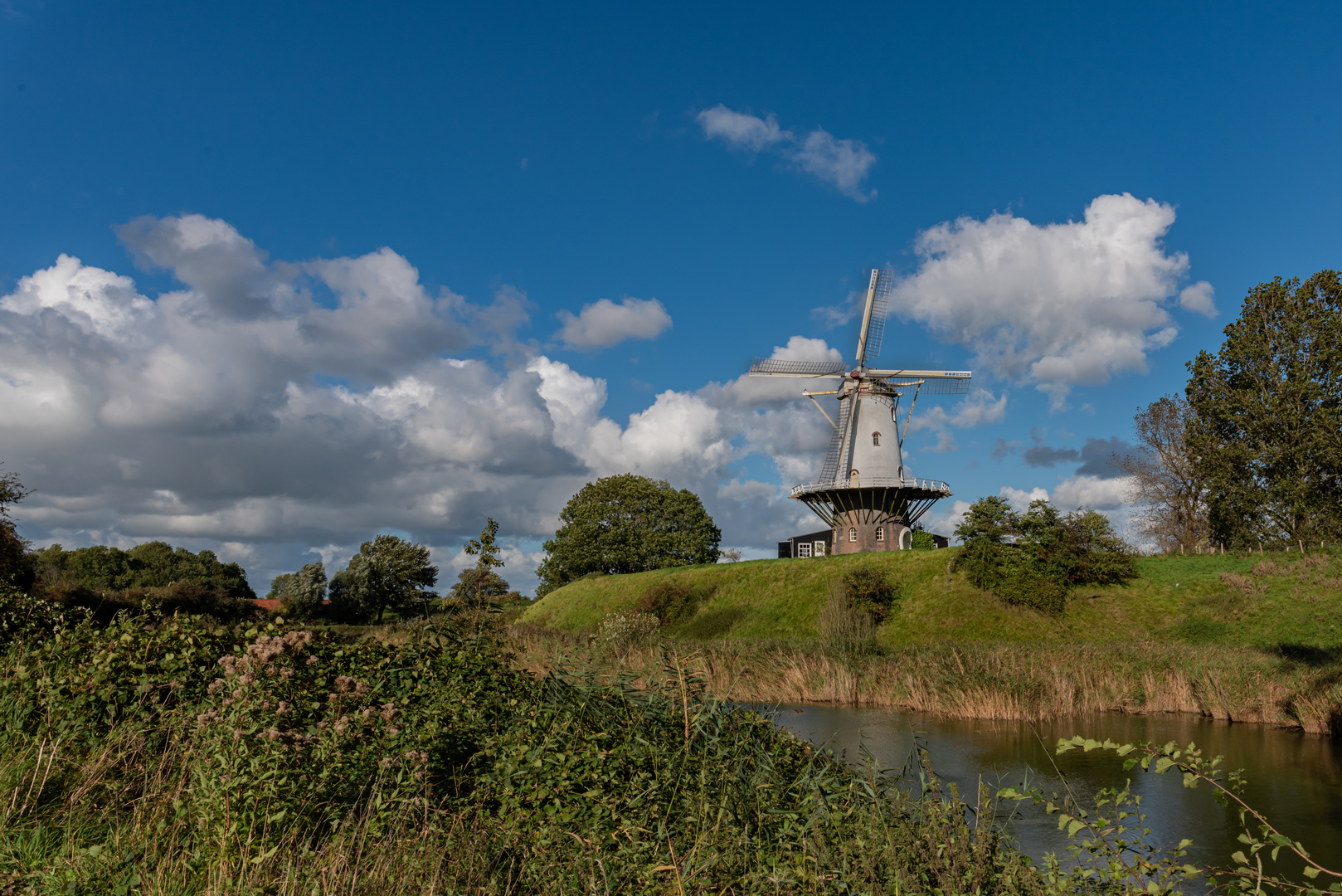 Windmühle in Veere