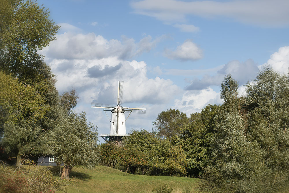 Windmühle in Veere